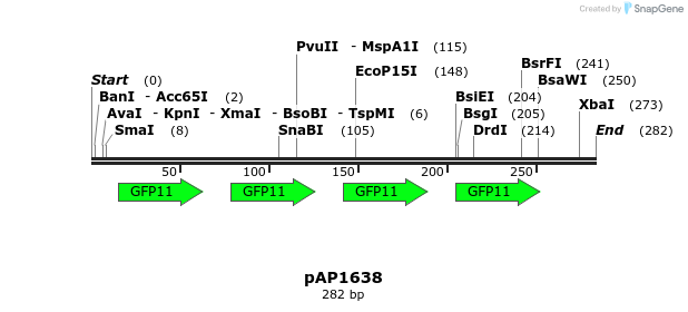 264899_map