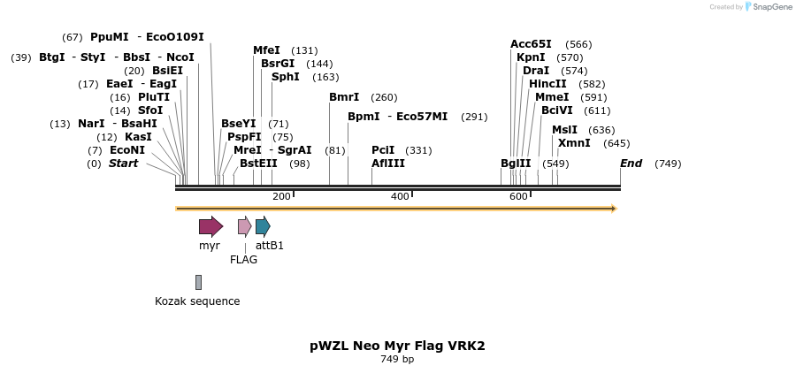26490_map