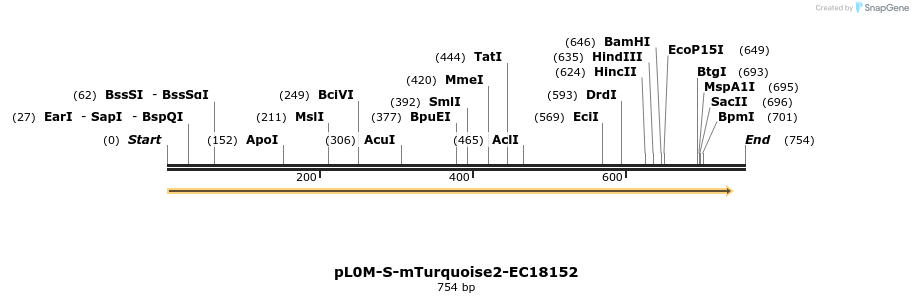 264915_map