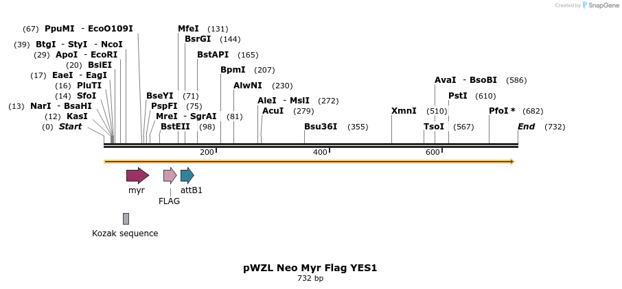 26492_map