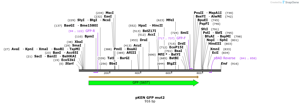 26494_map