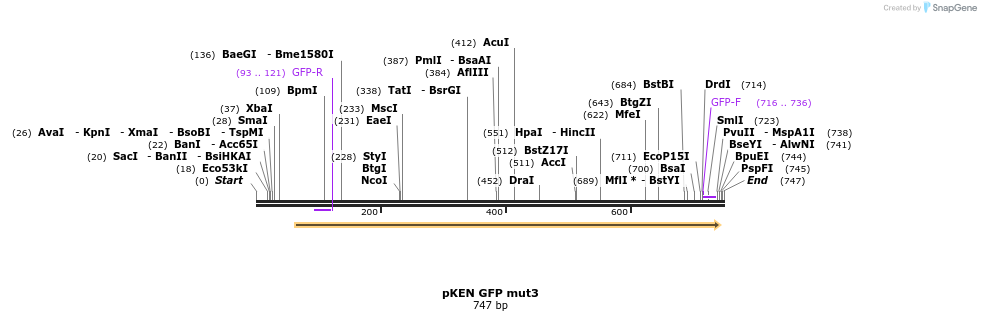 26495_map