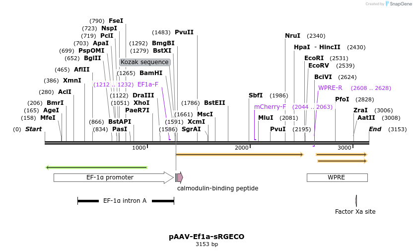 264971_map