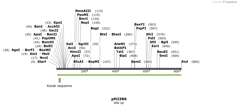 26498_map
