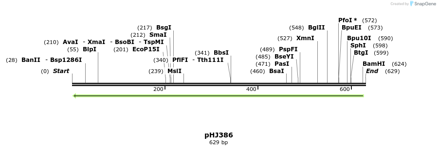 26499_map