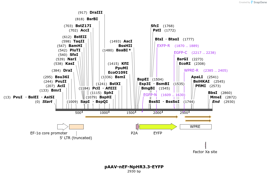 264997_map