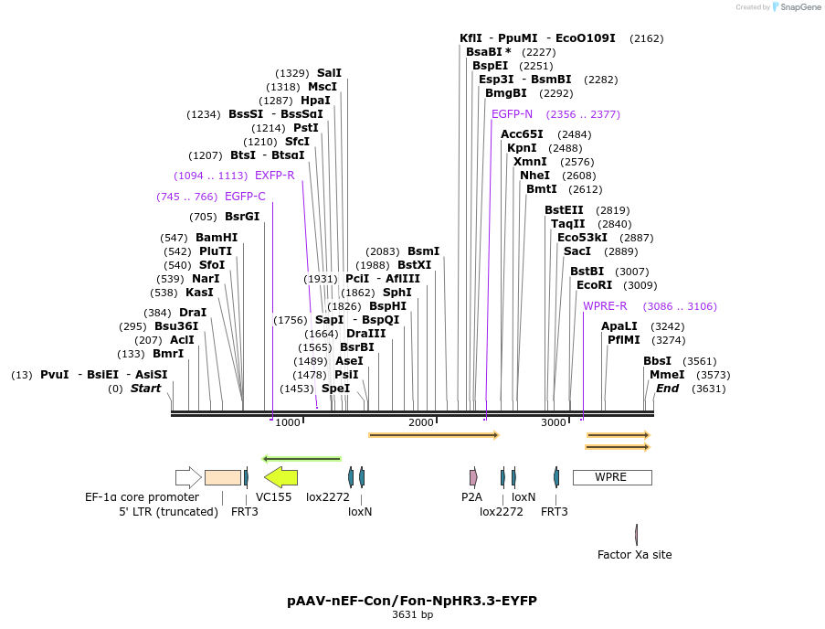 264998_map