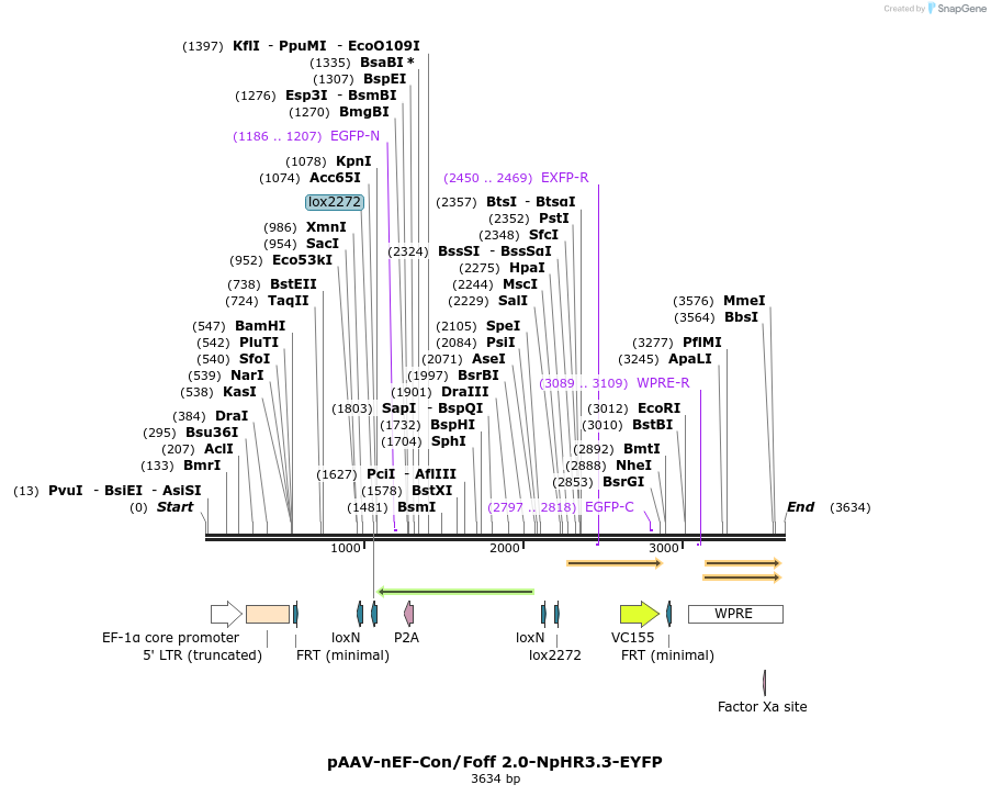264999_map