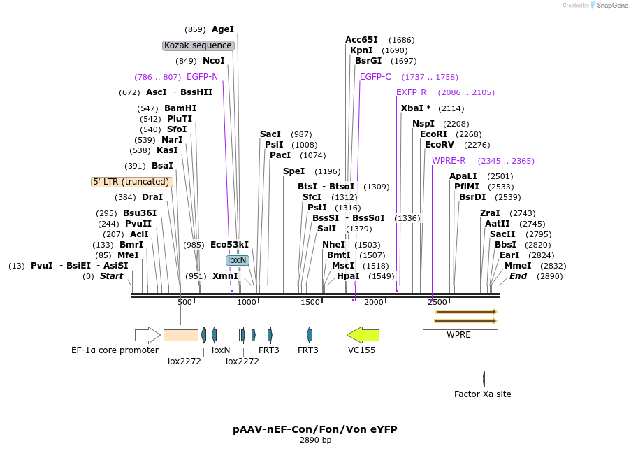 265010_map