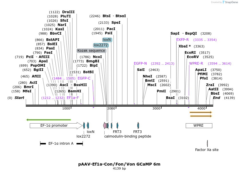 265011_map