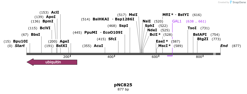 26502_map
