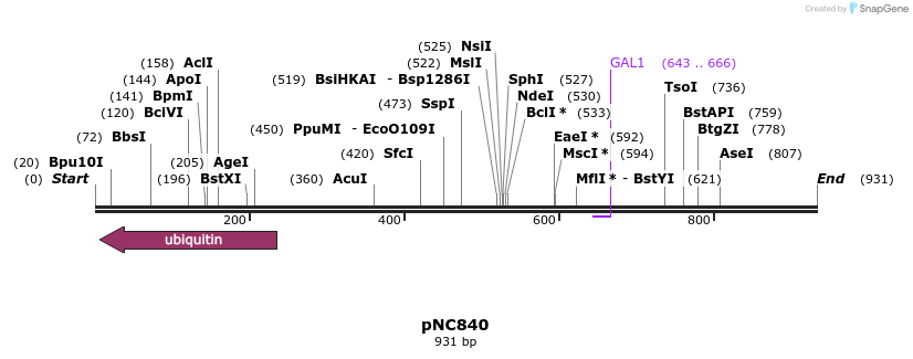 26504_map