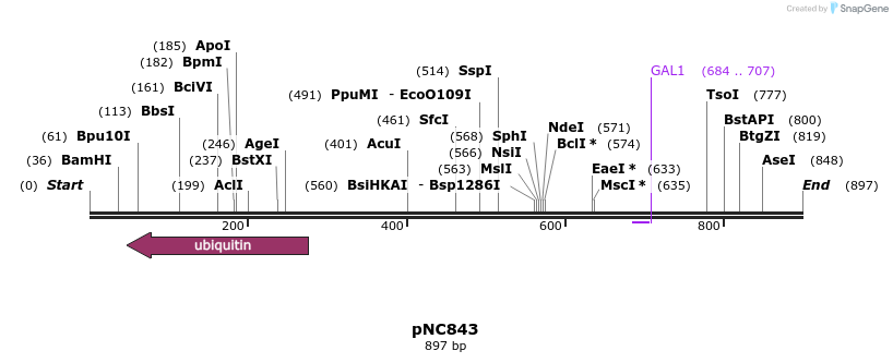 26505_map