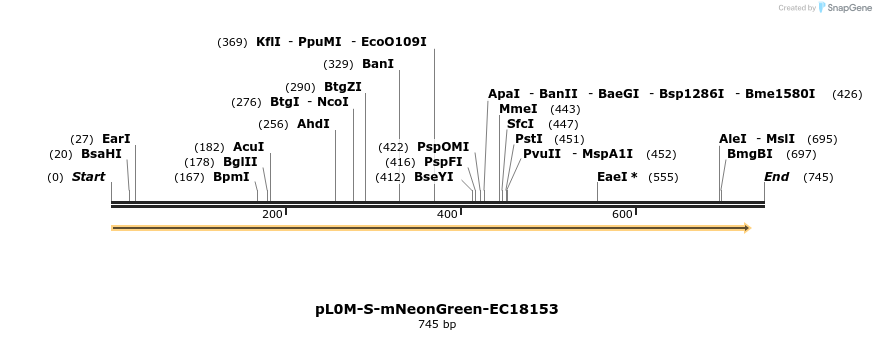 265051_map