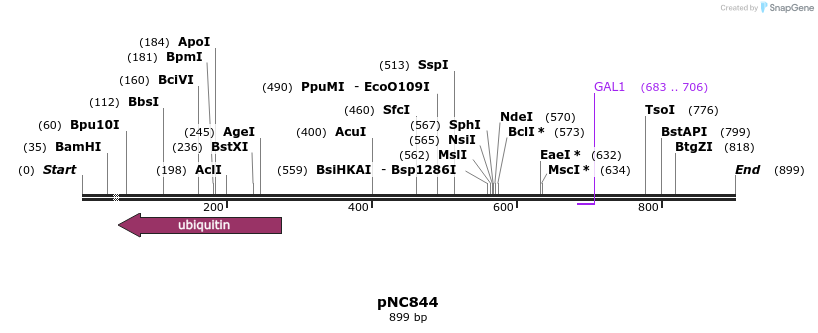 26506_map