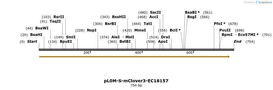 265064_map