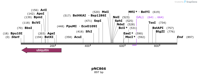 26512_map
