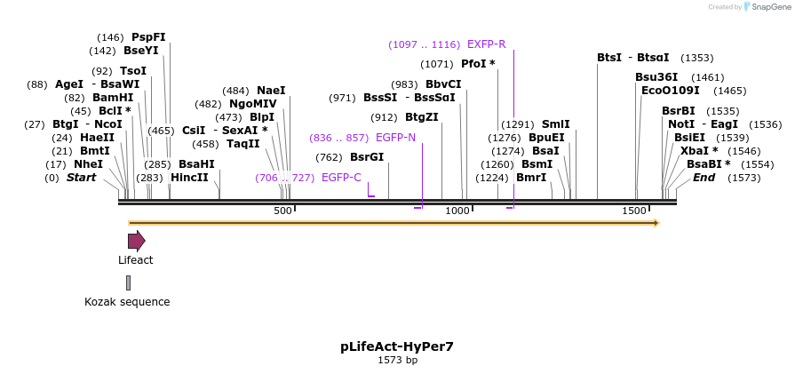 265164_map