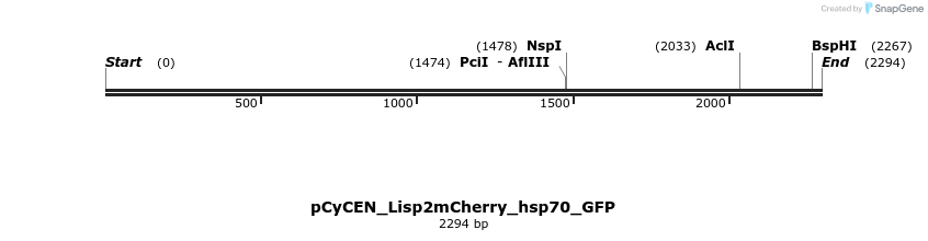 265167_map