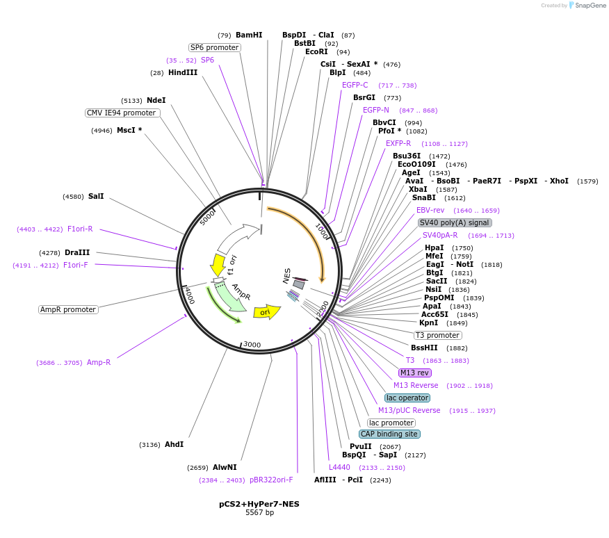 265174_map