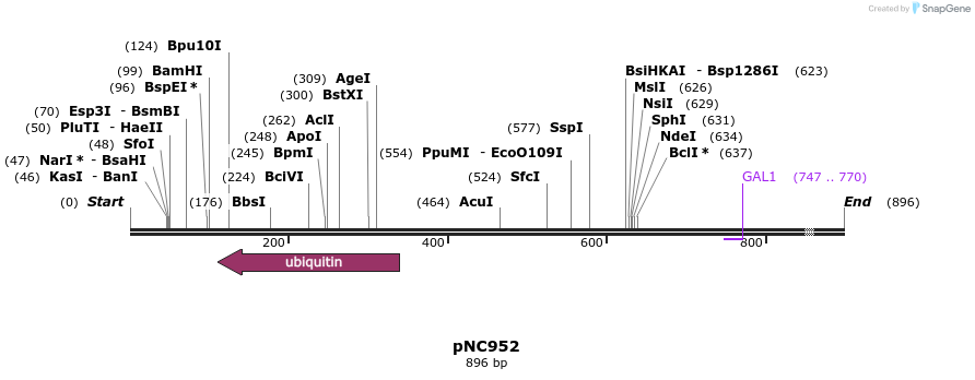 26518_map