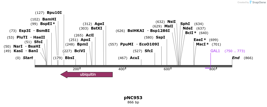 26519_map