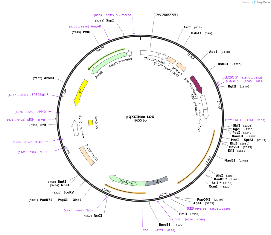 265190_map