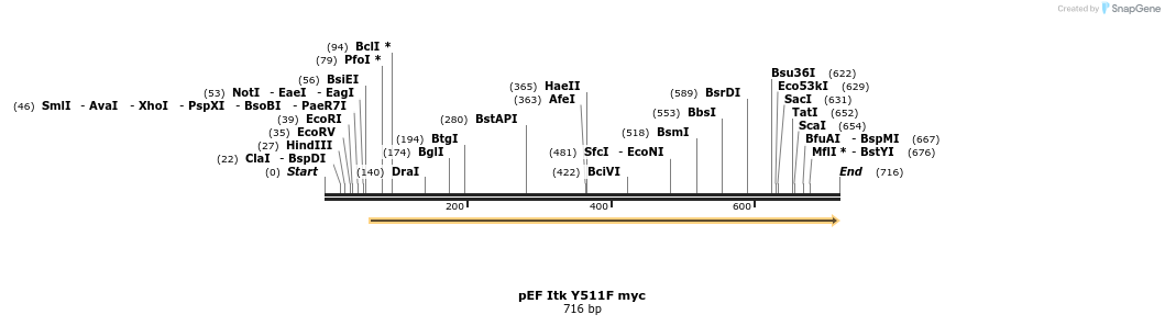 26528_map