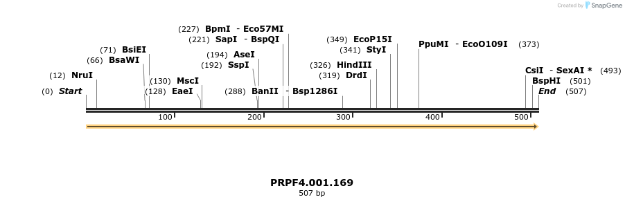 265327_map