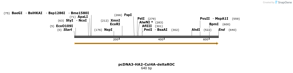 26537_map