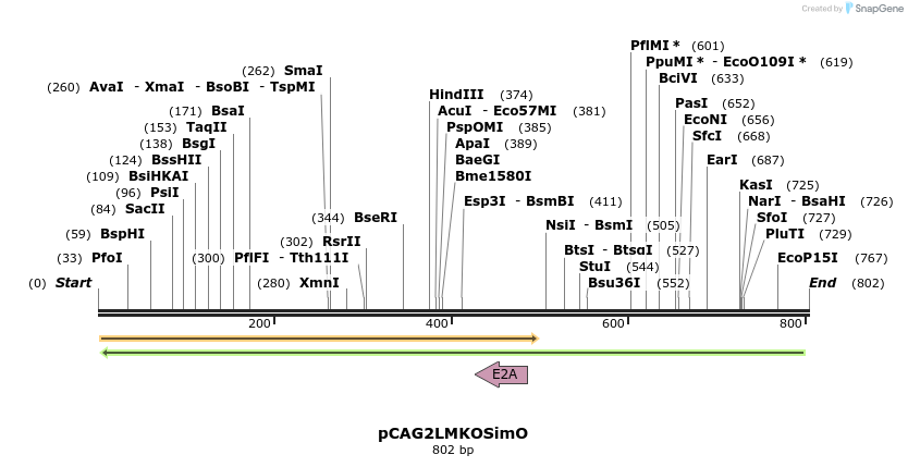 26544_map