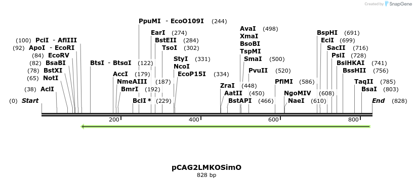 26545_map