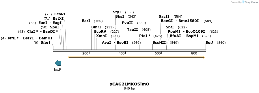 26546_map