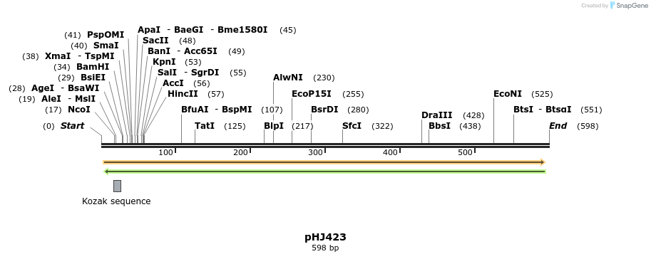 26554_map