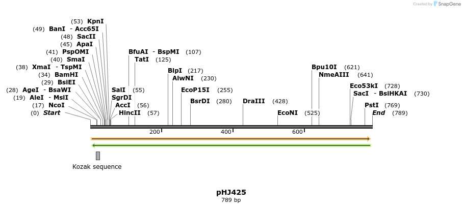 26557_map