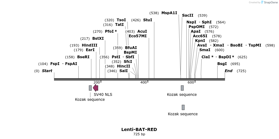 26564_map