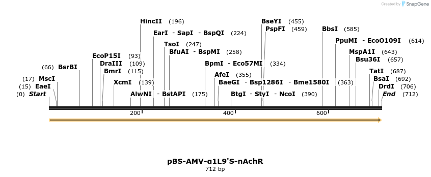 26567_map