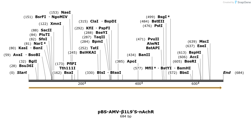 26568_map