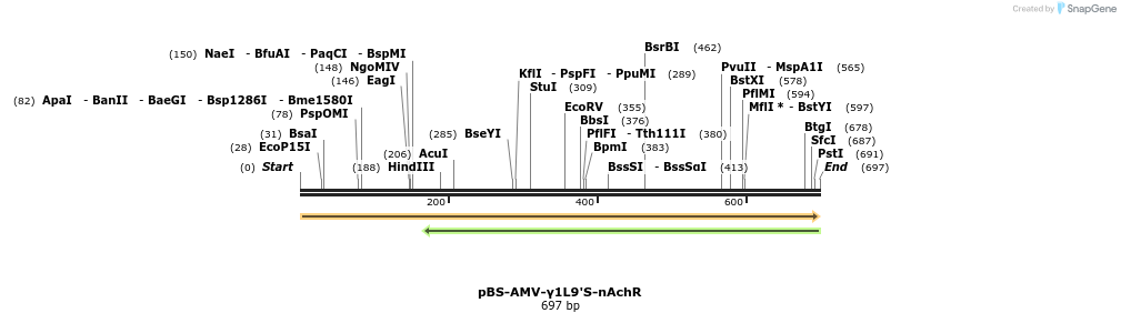26569_map