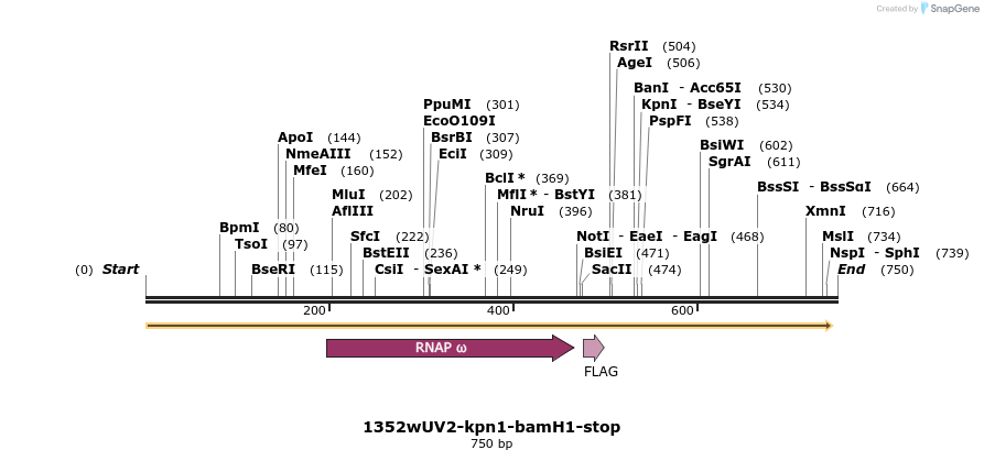 26571_map
