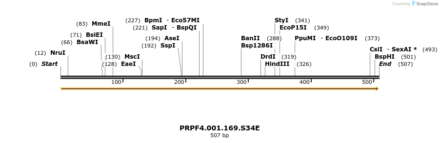 265737_map
