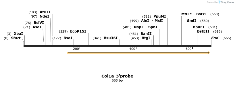 26574_map