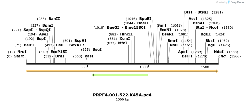 265742_map