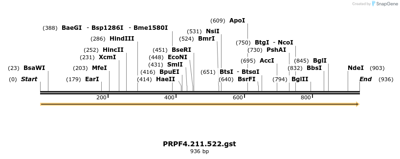 265744_map