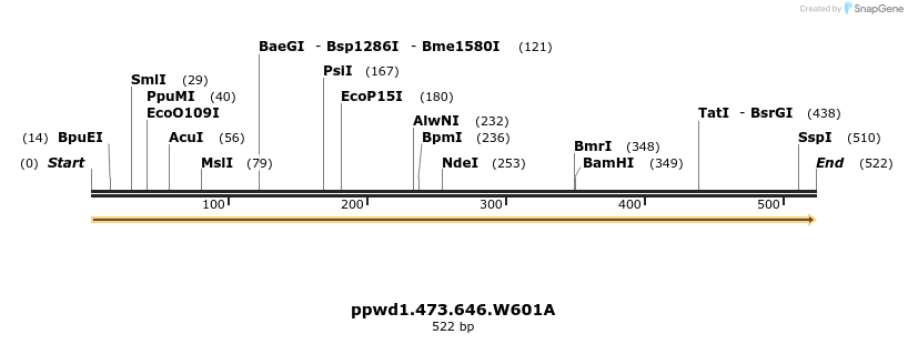 265751_map