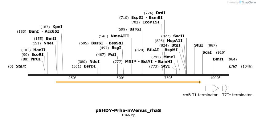 265759_map