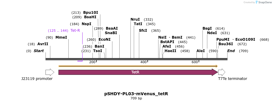 265767_map