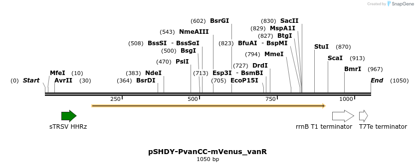 265769_map