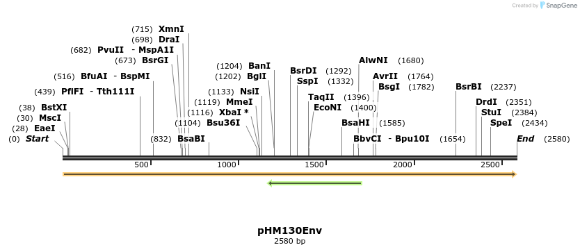 265797_map