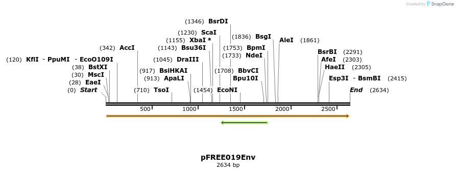 265802_map